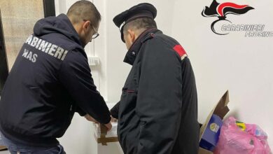 Carabinieri Ceprano NAS