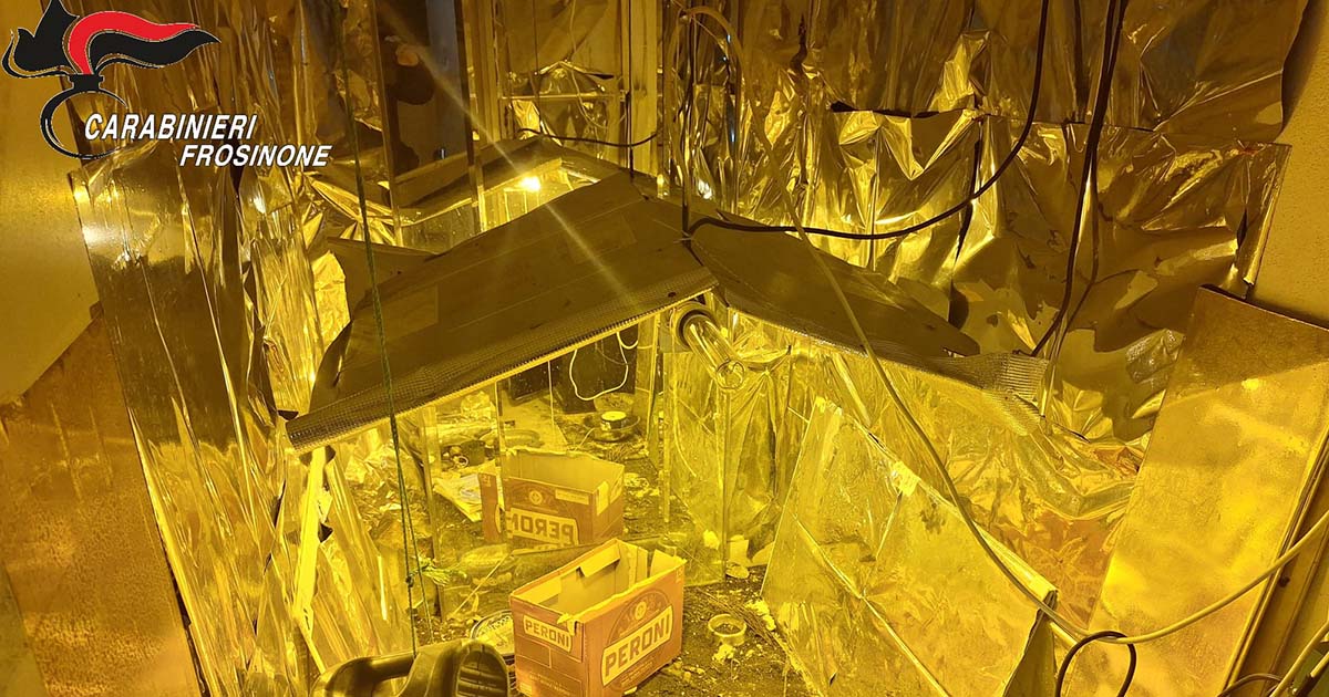 Coltivazione stupefacenti