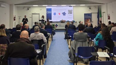 Platea corso Fse copia