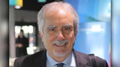 massimo de santis copia