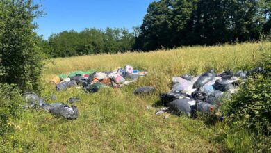 discarica abusiva ceccano copia