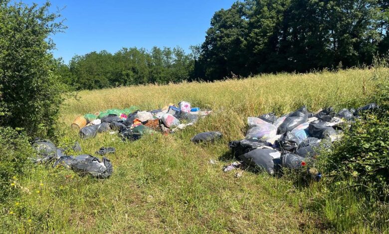 discarica abusiva ceccano copia