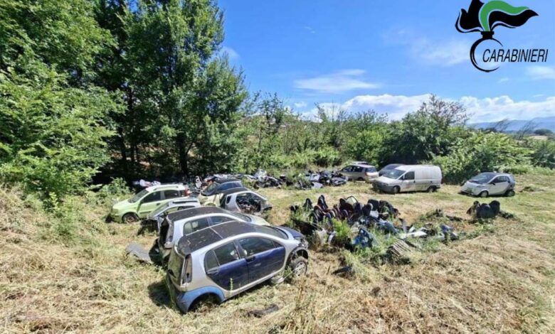 segnalazione rifiuti forestali