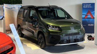 FIAT QUBO