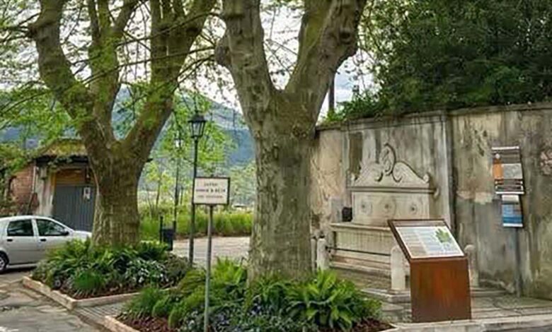 Alatri alberi storici