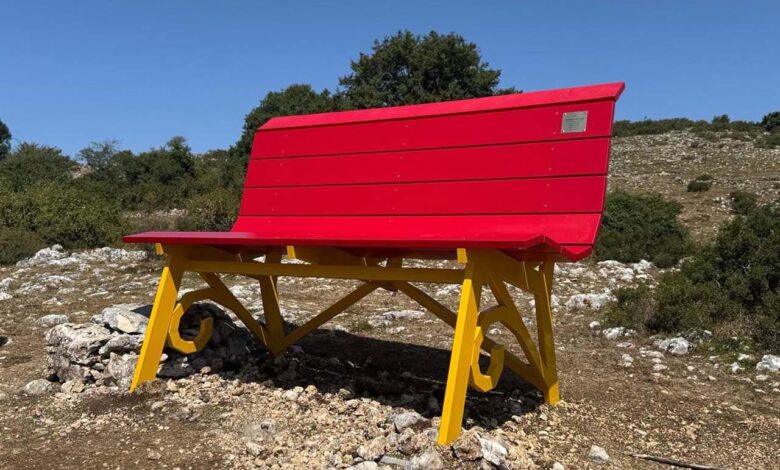 Veroli Panchina