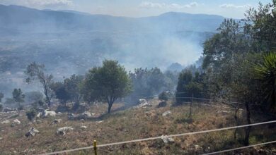 inxcendio anagni copia