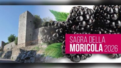 Sagra della Moricola Veroli copia