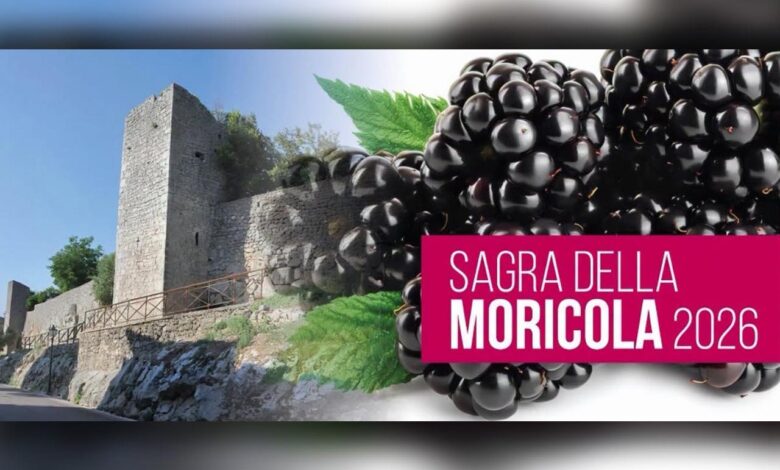 Sagra della Moricola Veroli copia