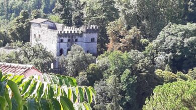 Parco di Castel Sindici di Ceccano copia