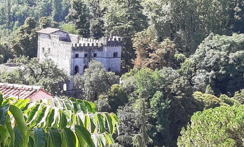 Parco di Castel Sindici di Ceccano copia