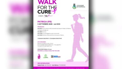 Walk for the cure patrica copia