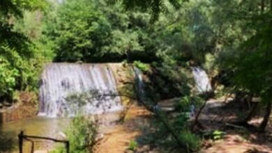 frosinone parco fiume cosa