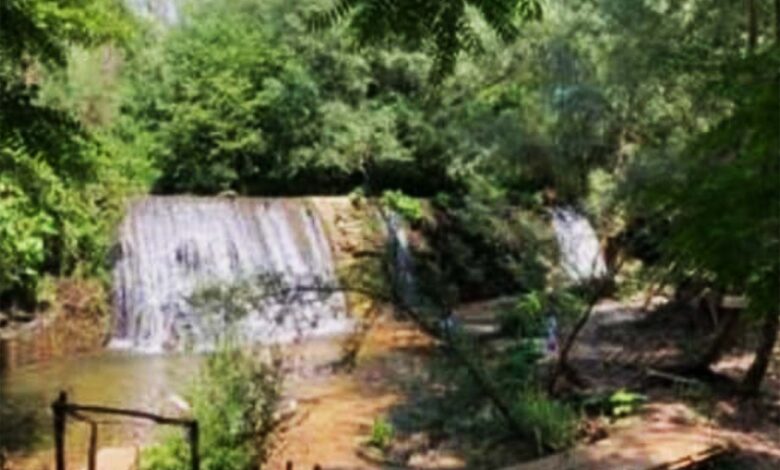 frosinone parco fiume cosa