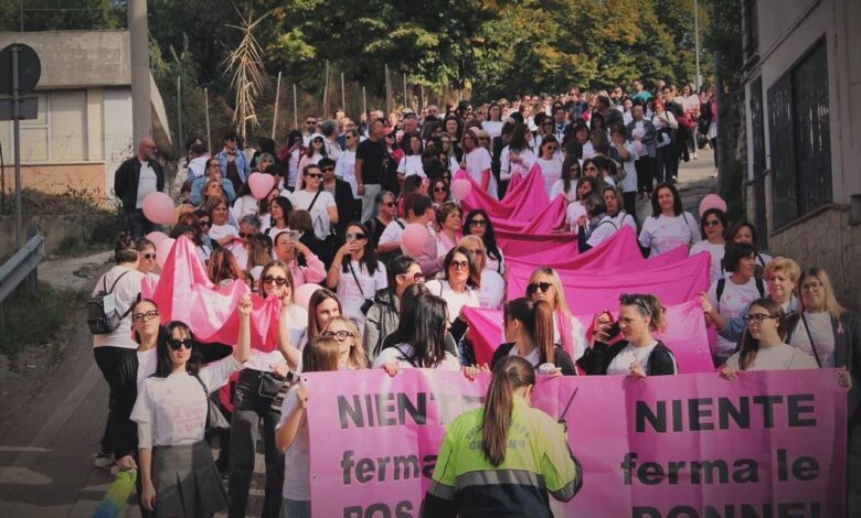 Camminata in rosa copia