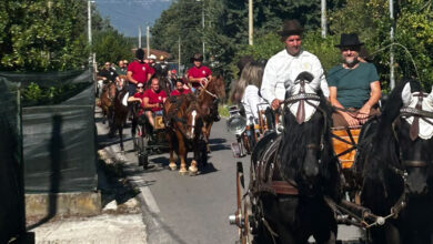 Ceccano a Cavallo () copia