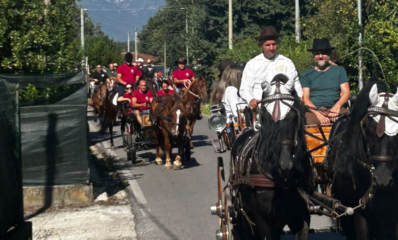 Ceccano a Cavallo () copia