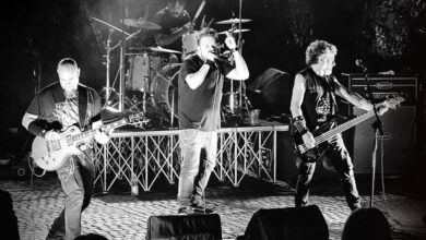 Sum Fest copia