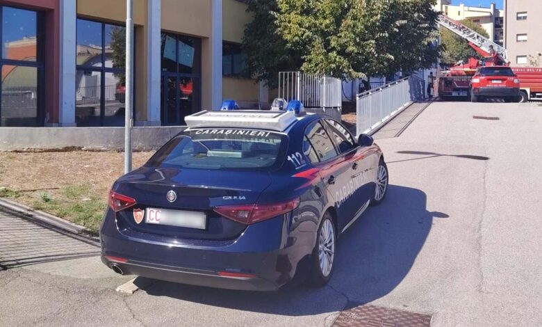 cavoni fr copia
