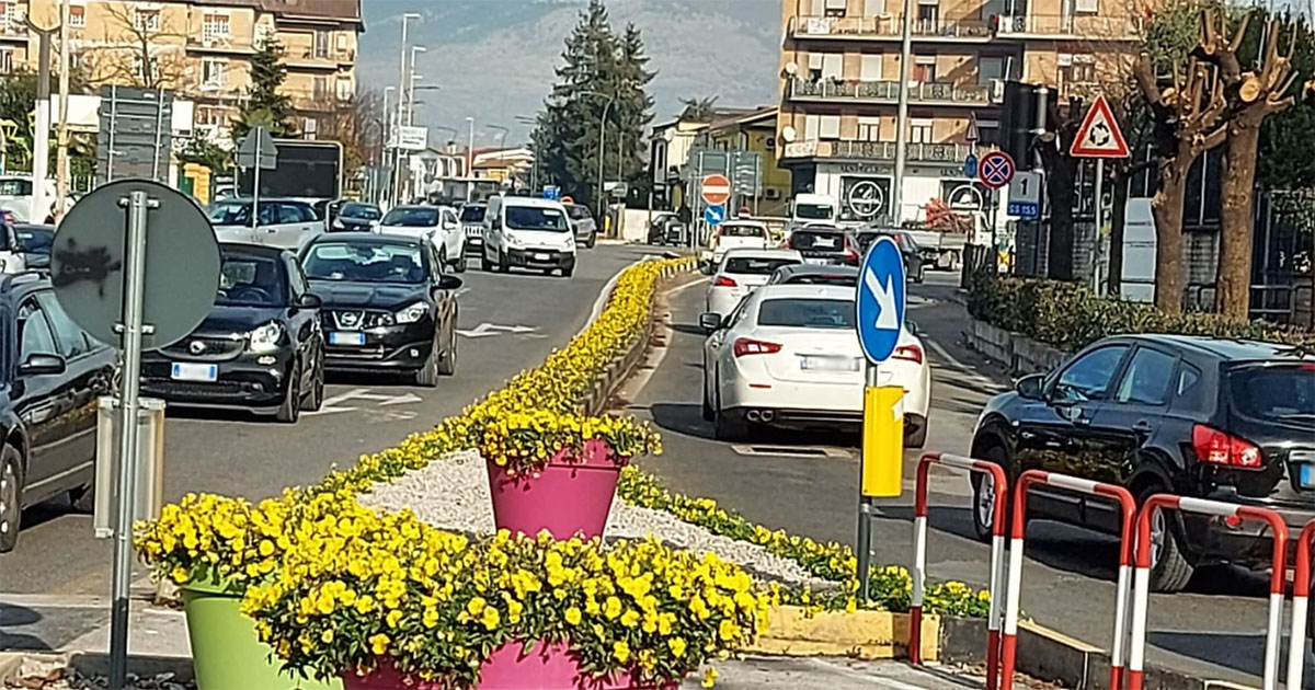 Frosinone FROSINONE – 150 metri di fiori a Madonna della Neve Fiori