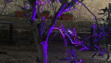FALVATERRA – Il Torrione illuminato di viola per la Giornata della Fibromialgia Torrione Falvaterra