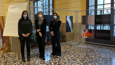 Frosinone Frosinone, Violenza Donne: inaugurata mostra a Palazzo Gramsci Palazzo Gramsci