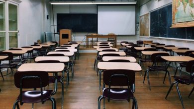 Pontecorvo Pontecorvo: niente didattica in presenza. Riapertura delle scuole fissata per il 17 Gennaio classe scuola