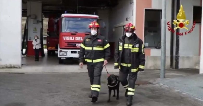 Sirene spiegate e applausi per il “congedo” di Sasha, l’eroina dei Vigili del Fuoco Sasha