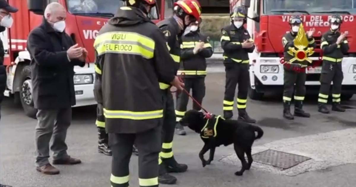 Sirene spiegate e applausi per il “congedo” di Sasha, l’eroina dei Vigili del Fuoco Vigili del Fuoco