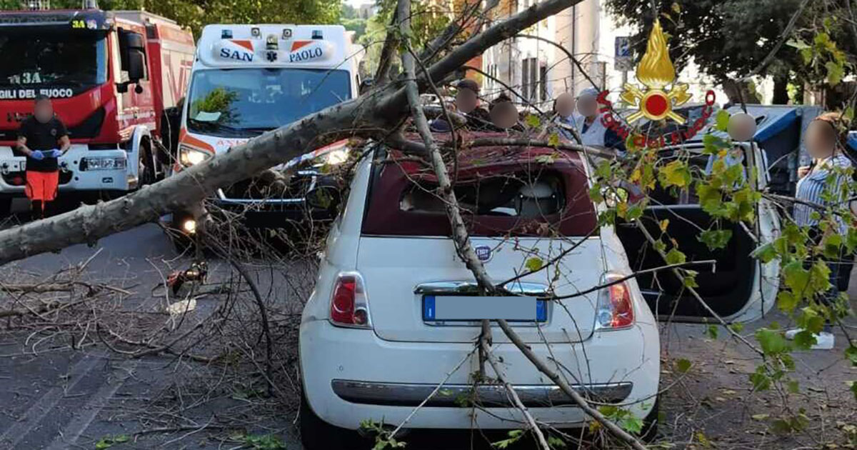 Roma: albero cade su auto in transito