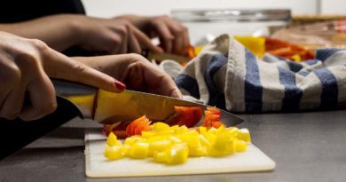 Santopadre: cercasi Collaboratrice domestica e professioni assimilate copia