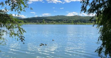 lago di Posta Fibreno Cultura, scienza ed emozioni: un weekend tutto da vivere nella Riserva Naturale lago di Posta Fibreno