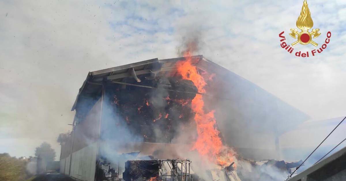 Incendio in azienda agricola: i Vigili del Fuoco salvano 300 animali all’interno