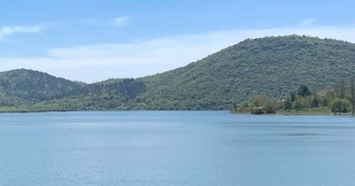 Lago di Canterno: la Polizia Provinciale libera 100 carpe pescate illegalmente Lago di Canterno