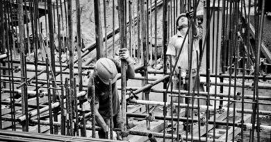 Frosinone Frosinone: cercansi muratore, carpentiere, mattonatore, idraulico ed elettricista operai