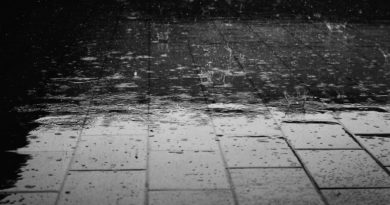 Frosinone Frosinone – Meteo Ciociaria: si avvicina la pioggia rain gb a d d