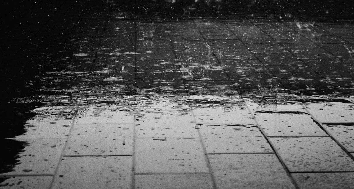 Frosinone Frosinone – Meteo Ciociaria: si avvicina la pioggia rain gb a d d