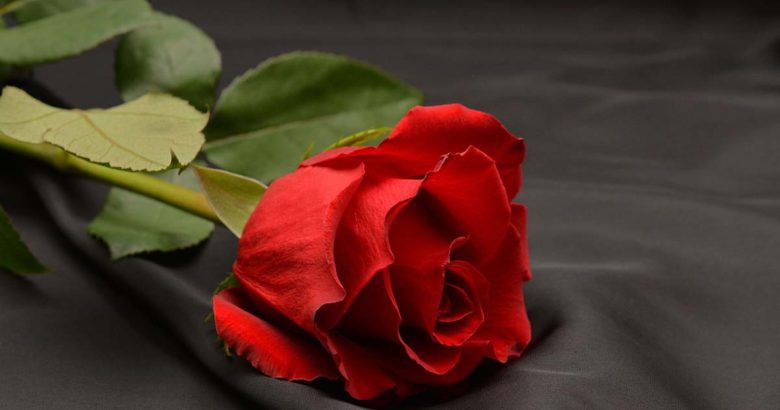 È morto Edson Arantes do Nascimento, il grandissimo Pelé Lutto