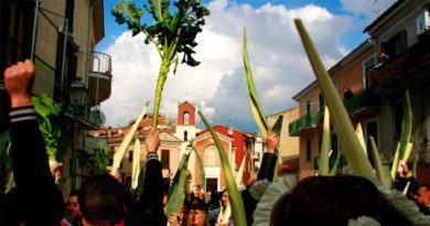 Frosinone, Carnevale: i divieti di sosta e di circolazione Frosinone Festa della Radeca