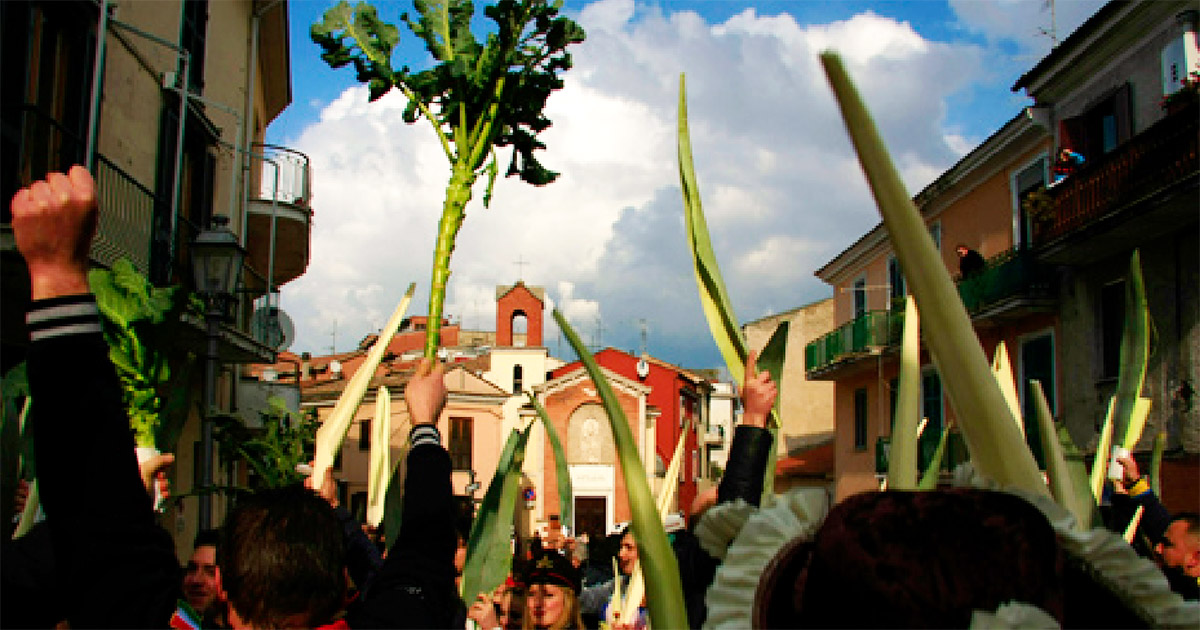Frosinone, Carnevale: i divieti di sosta e di circolazione Frosinone Festa della Radeca