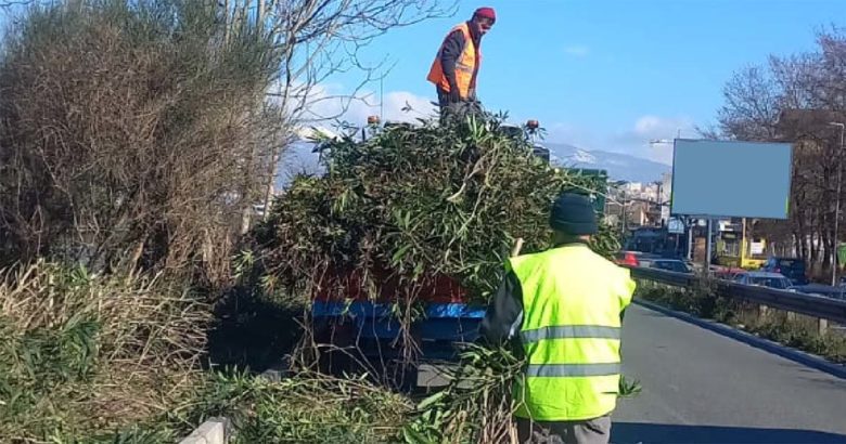 Frosinone, interventi di pulizia e igiene su tutte le aree verdi Frosinone pulizia