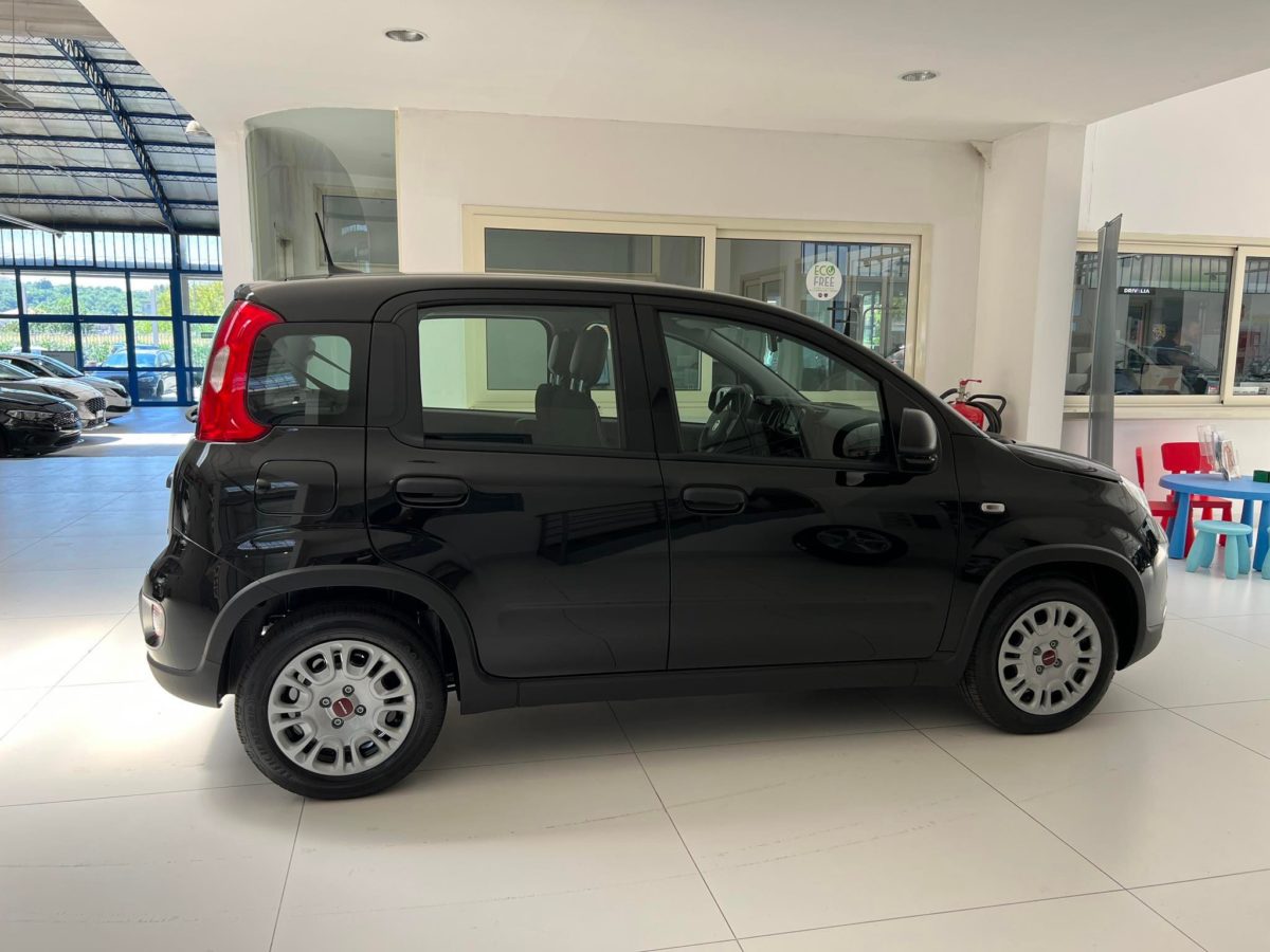 Fiat Panda: fino al 31 Agosto 2023 tua da 153 euro al mese e anticipo zero Fiat Panda anticipo zero laterale passeggero