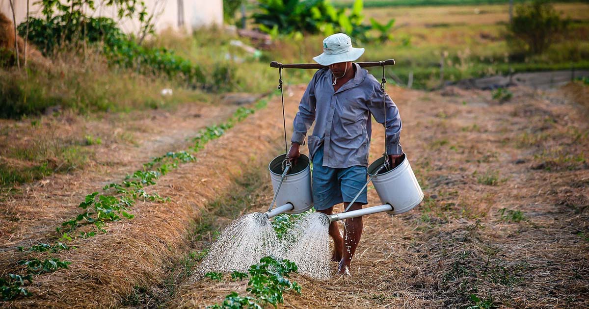 Braccianti agricoli Frosinone: offerta di lavoro zona Cassino Bracciante agricolo frosinone