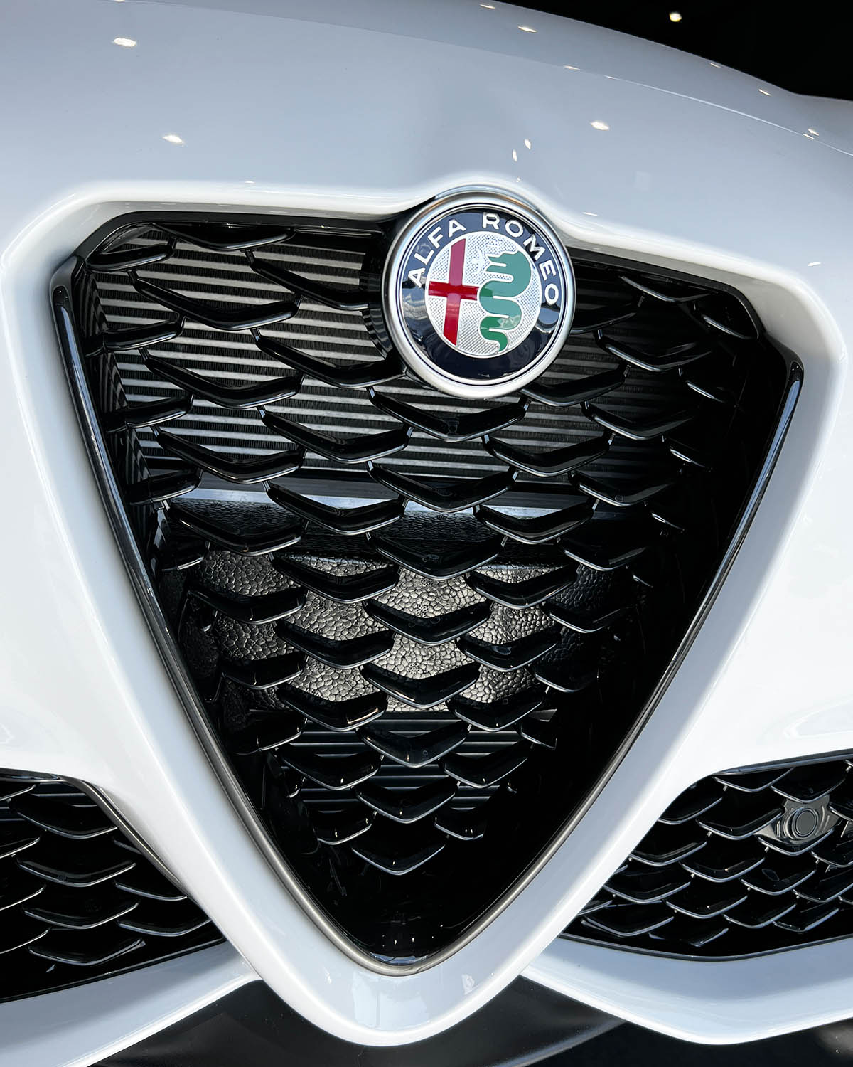 Alfa Romeo Giulia Q4 Tributo Italiano: fino al 31 marzo 2024 tua da 450 euro al mese Alfa Romeo Giulia
