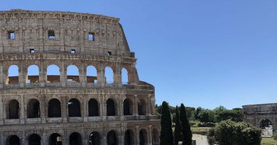Potatura degli ulivi nella Piazza del Colosseo IMG copia