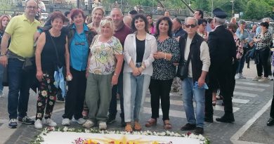 foto infiorata () copia