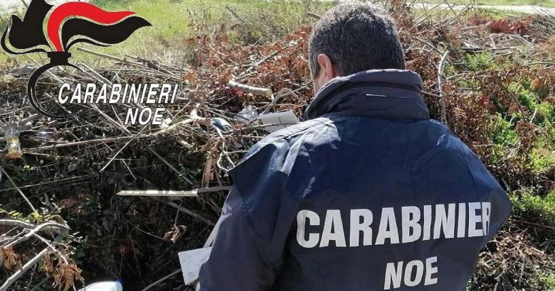 FOTO () copia