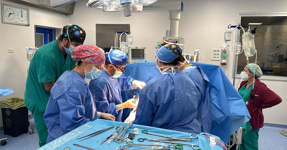 foto trapianti () copia