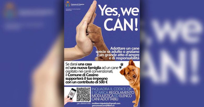 yes we can