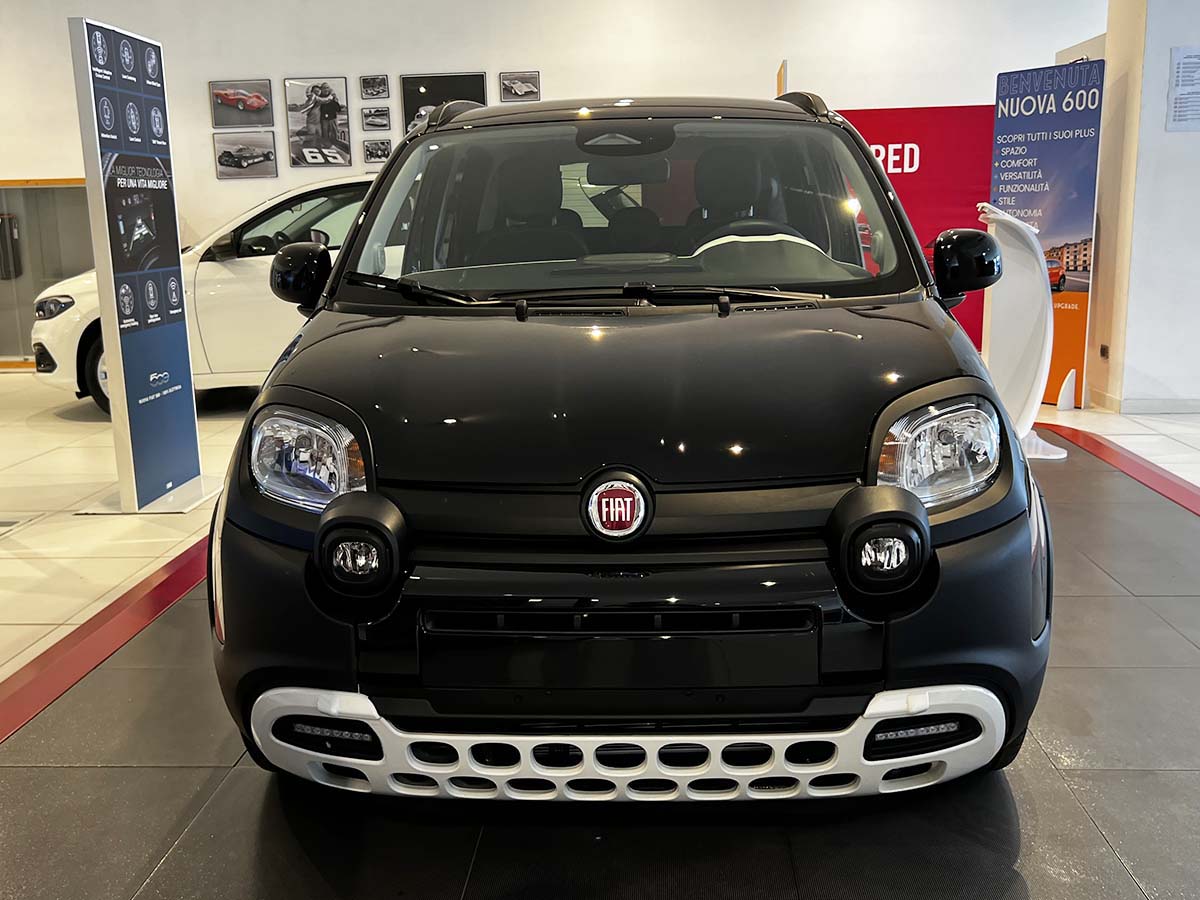 Fiat Pandina